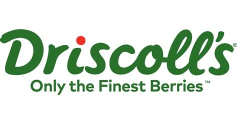 Contact information for aktienfakten.de - Driscoll’s produce has faced some steep obstacles over the course of the past few months. Back in November 2021, the brand recalled its blueberries in Ontario due to a metal contamination, per Food Safety Network. Driscoll’s now faces another produce recall over an issue with their strawberries.